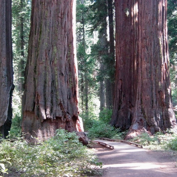 Vintage Harley-Davidson & Vintage Clothing - Picture 3 of 6